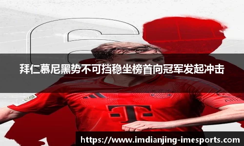 IM电竞官方正版网站