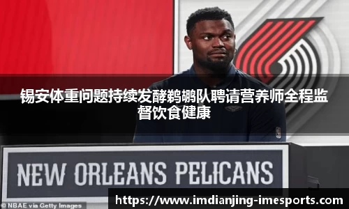 IM电竞官方网站